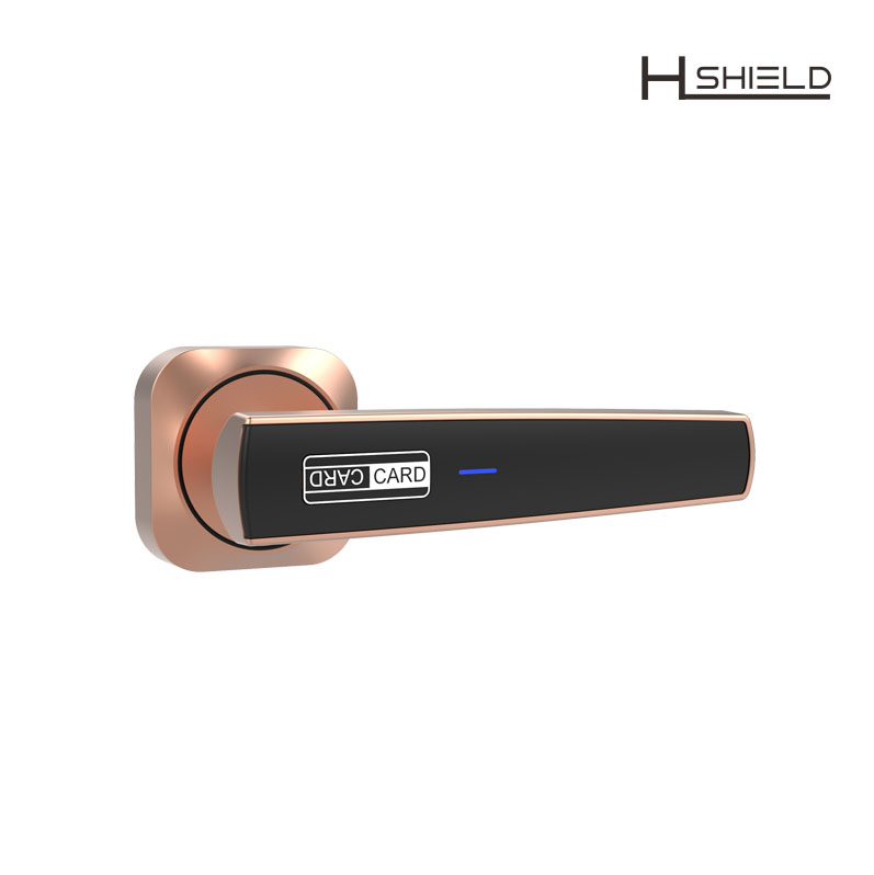 smart digital door lock