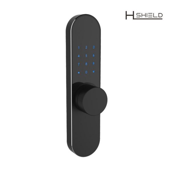 smart digital lock