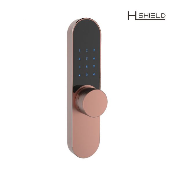 smart digital lock