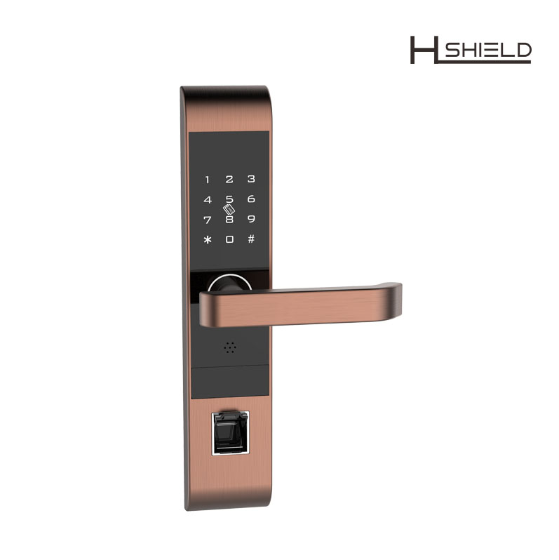 smart digital door lock