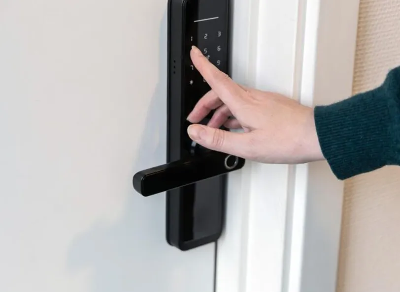 Fingerprint locks